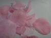 DSC02050_1.JPG