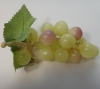DSC02706.JPG