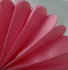 DSC05204.JPG